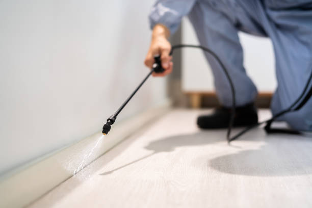 Professional exterminator conducting IPM assessment in Jasper